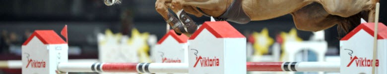 Viktoriabau_Hallenchampionat_03